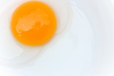 Eiweiß Diät Ernährungsplan
