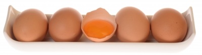 Ernährungsplan Muskelaufbau