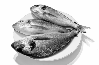 Ernährungsplan